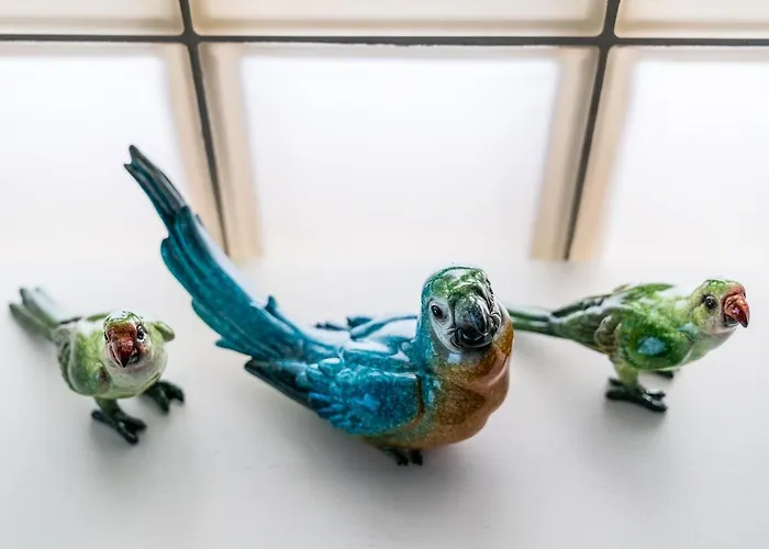 Sanhaus - Capri - 200 Metrów Od Plaży I Deptaka Sopot